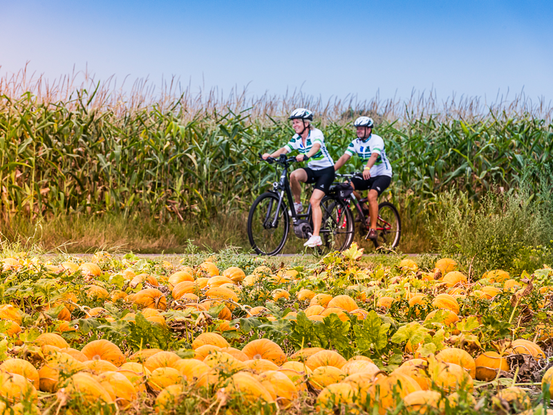 Herbst in Bad Radkersburg